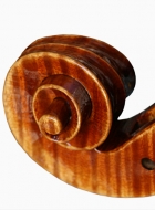 cello-inspired-by-montagnana-scroll-bass