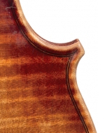 violin-2011-after-a-stradivari back detail