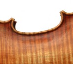 detail of violin 2011 after A Stradivari